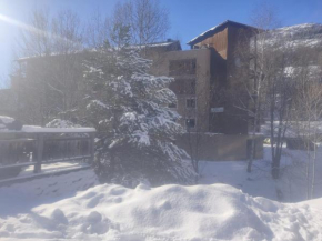 Appartement au départ des remontées mécaniques - Briançon